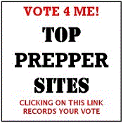 Vote For Prepperbot